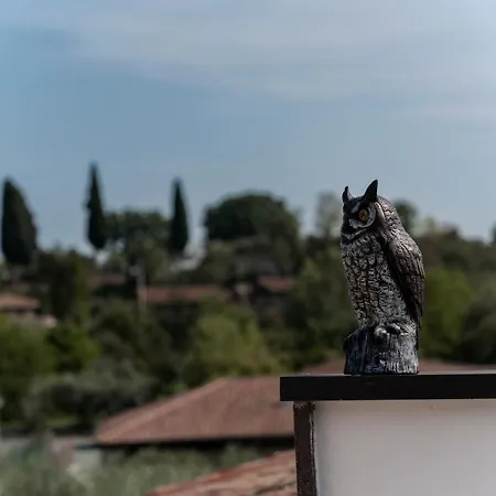 Corte Ribelli بادينغي سول غاردا